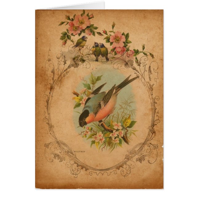 Bull Finch Art numérique Toutes les occasions Cart (Devant)