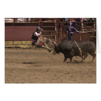 Bull rider est aéré