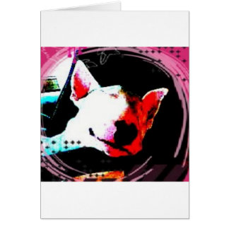 bull terrier