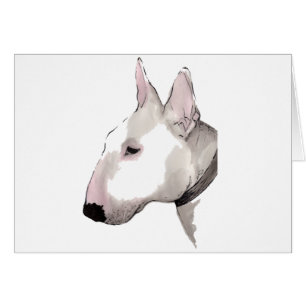 Bull-terrier anglais