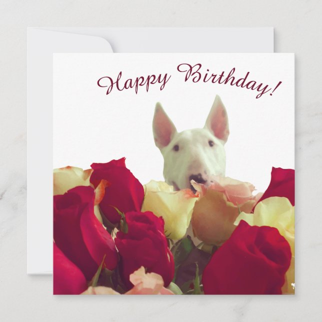 Bull terrier avec rose - Joyeux anniversaire! (Devant)