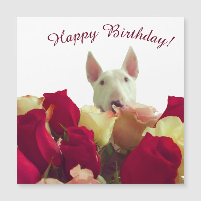 Bull terrier avec rose - Joyeux anniversaire! (Devant)
