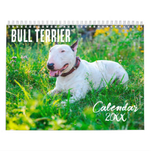 Bull Terrier calendrier 2026