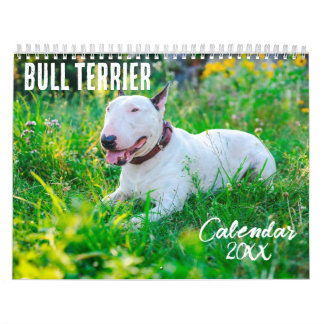 Bull Terrier calendrier 2026