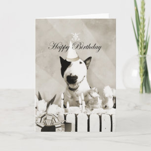 Bull Terrier Carte photo "Joyeux anniversaire"