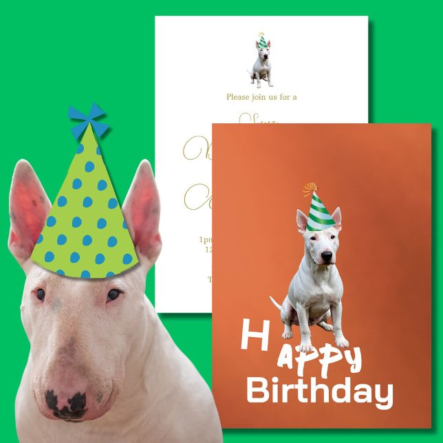Bull Terrier Chien Anniversaire Fête Invitation (Créateur téléchargé)