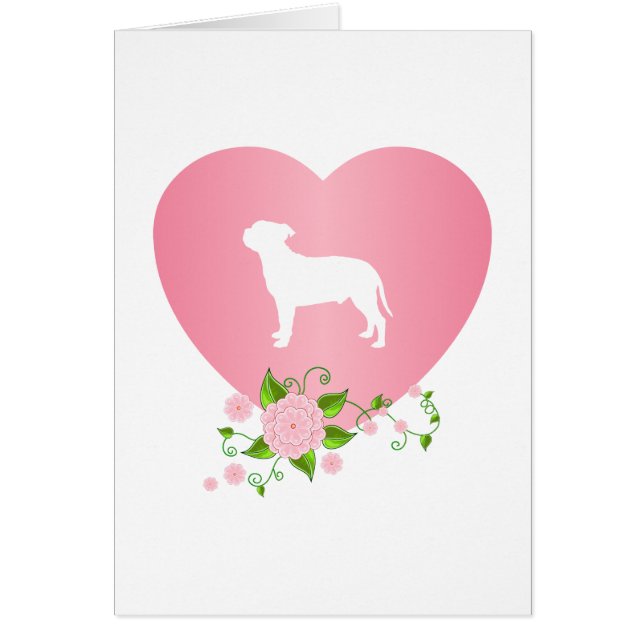 Bull-terrier du Staffordshire (Devant)