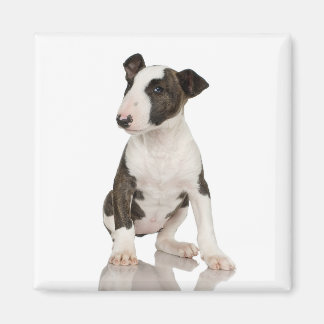 Bull Terrier Magnet