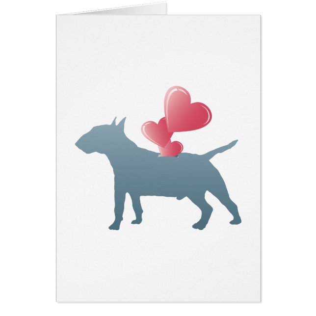 Bull-terrier miniature (Devant)