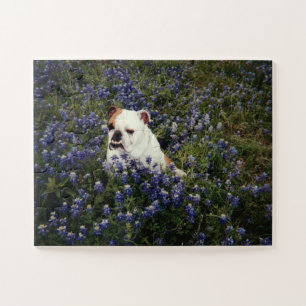 Bulldog anglais au Texas Bluebonnets Puzzle