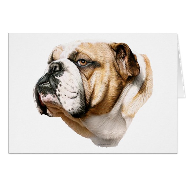 Bulldog Bust (Devant horizontal)