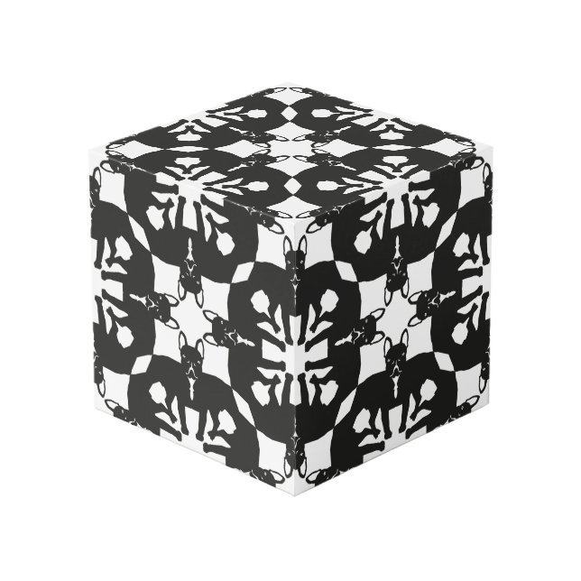 Bulldog Cube (Angle devant)