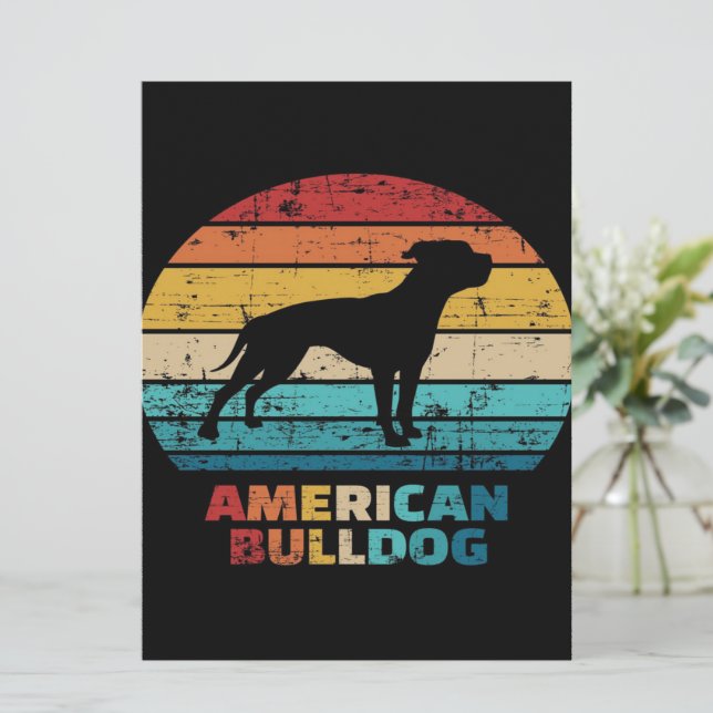 Bulldog d'Amérique vintage (Debout devant)