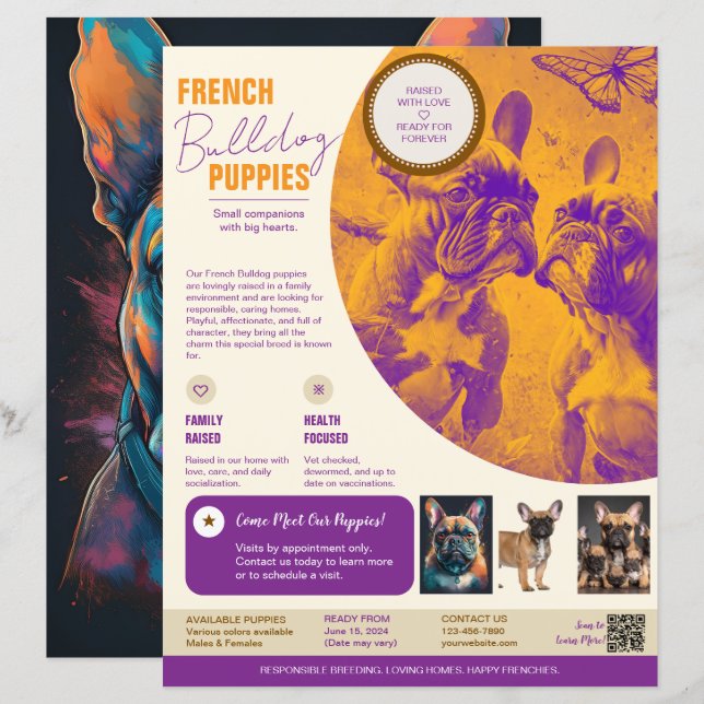 Bulldog français Flyer Violet  (Devant / Derrière)