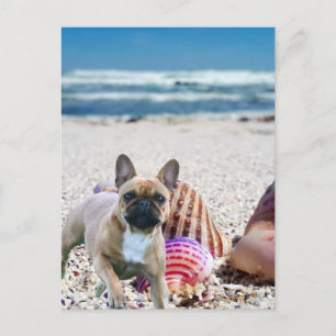 Bulldog français sur la carte postale de la plage
