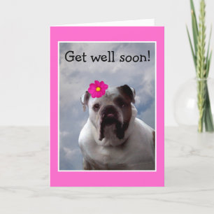Bulldog Get Well Bientôt carte de voeux