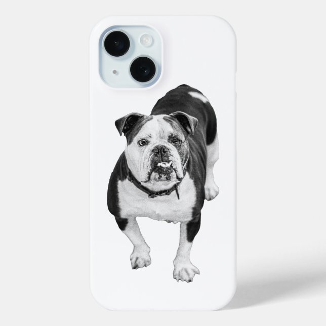 Bulldog Moderne, Étui Quotidien (Verso)