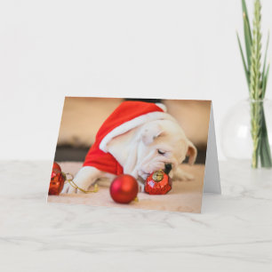 BULLDOG W/ CHRISTMAS BALLS PLIÉ Carte de voeux