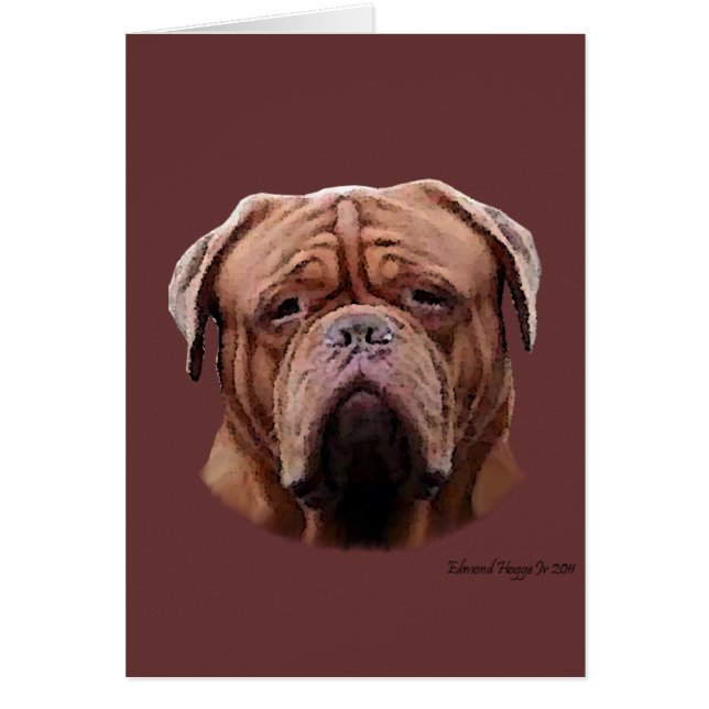 Bulldogs II (Devant)