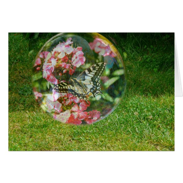 Bulle papillon (Devant horizontal)