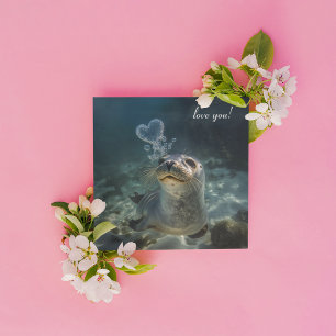 bulles cardiaques qui gonflent les phoques