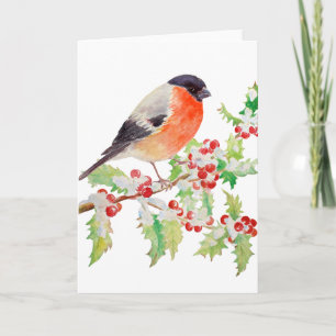 Bullfinch sur Holly Branch dans la carte de voeux 