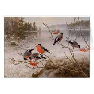 Bullfinches en paysage hivernal CC0967 Von Wright