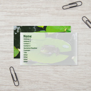 Bullfrog sur le Carte de visite Lilypads