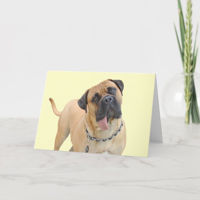 Bullmastiff carte d'anniversaire par accent pour u (Devant)