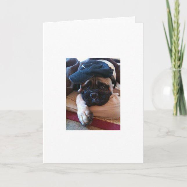 Bullmastiff je suis carte ou invitation désolée (Devant)