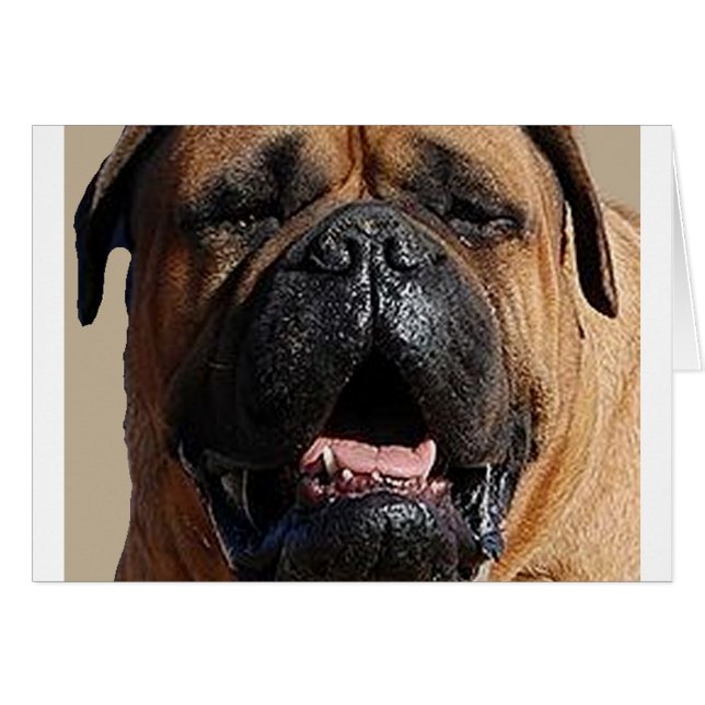 bullmastiff.png (Devant Horizontal)