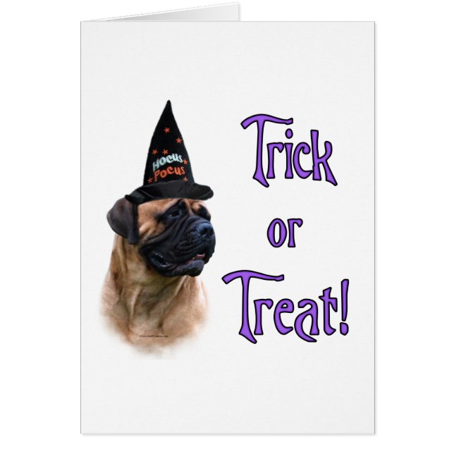 Bullmastiff Trick (Devant)
