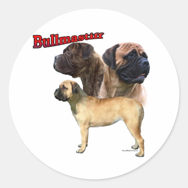 Bullmastiff Trio 2 - Sticker (Devant)
