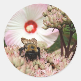 Bumble Bee ~ autocollant