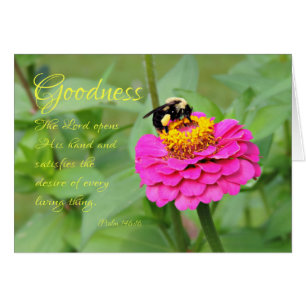Bumble Bee in rose Zinnia Penser à votre carte