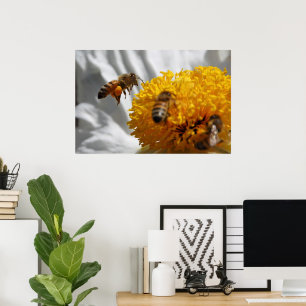 Bumble Bee pollen poster