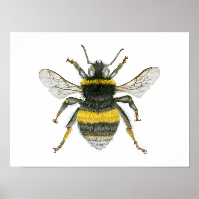 Bumble Bee Poster Imprimer (Devant)