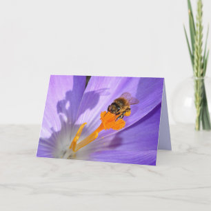 Bumble Beer Sur Carte photo Violet Fleur Blank