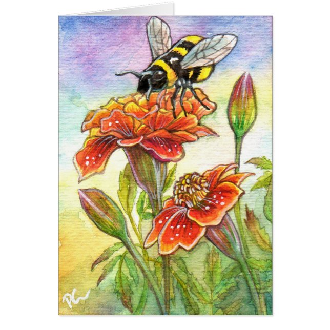 Bumblebee Et Marigold (Devant)