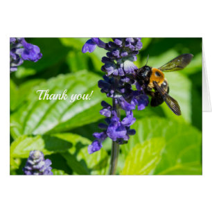 Bumblebee Sur La Carte de remerciements De Salvia