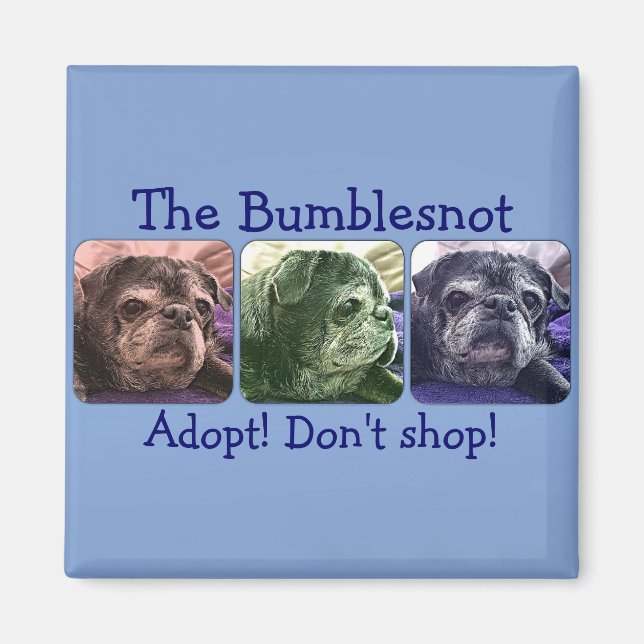 Bumblesnot aimant : Color Me Bumble (Devant)