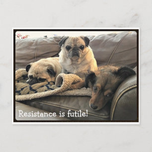 Bumblesnot : La résistance est Futile carte postal