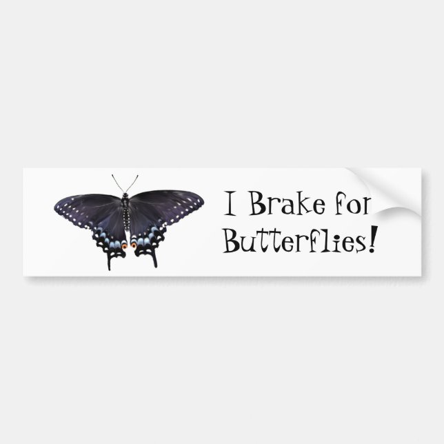 Bumper Sticker I Frein pour papillons Swallowtail (Devant)