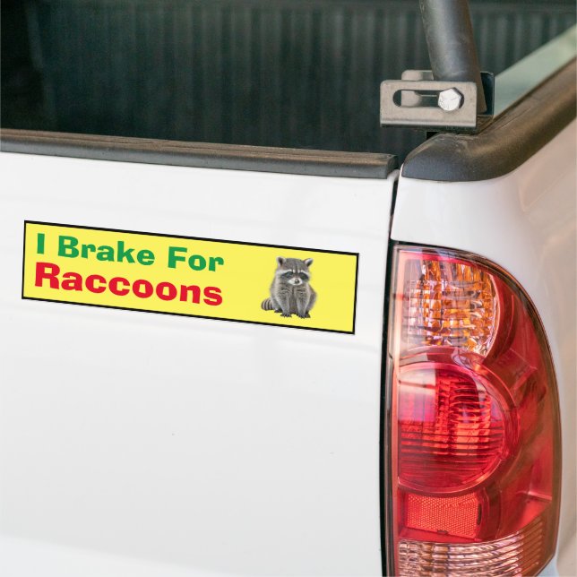 Bumper Sticker - Je freine pour Raccoons (Sur camion)