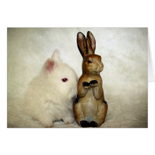 Bunnies (Devant horizontal)