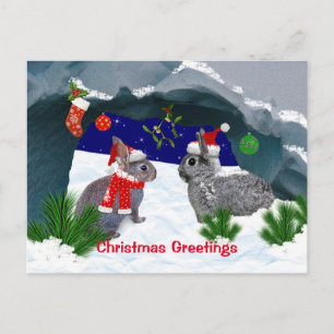 Bunnies sous la carte postale Mistletoe