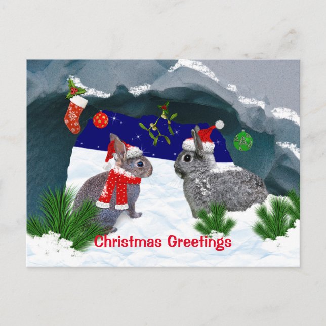 Bunnies sous la carte postale Mistletoe (Devant)