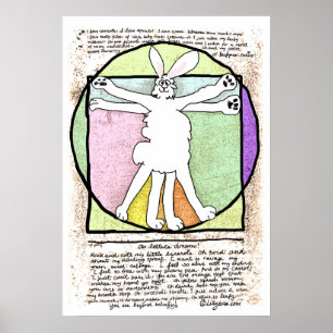 Bunny DaVinci Poster et imprimer