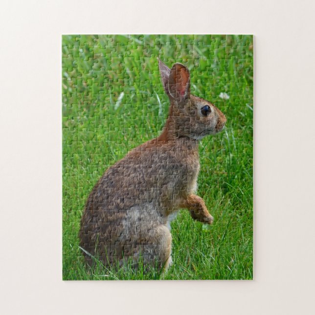 Bunny Rabbit Jigsaw Puzzle (Vertical)