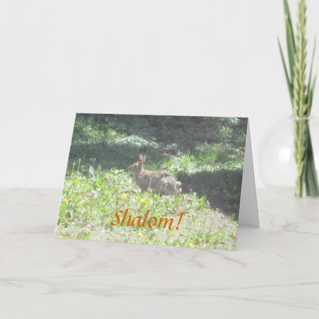 Bunny sauvage "Shalom !" Carte de voeux juive (Devant)